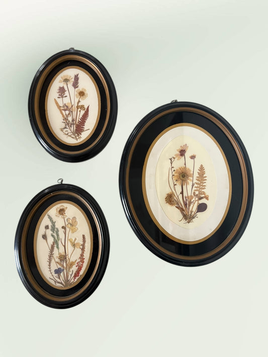 Vintage 1970s Pressed Flowers Botanical Oval Framed Wall Decor Set of 3