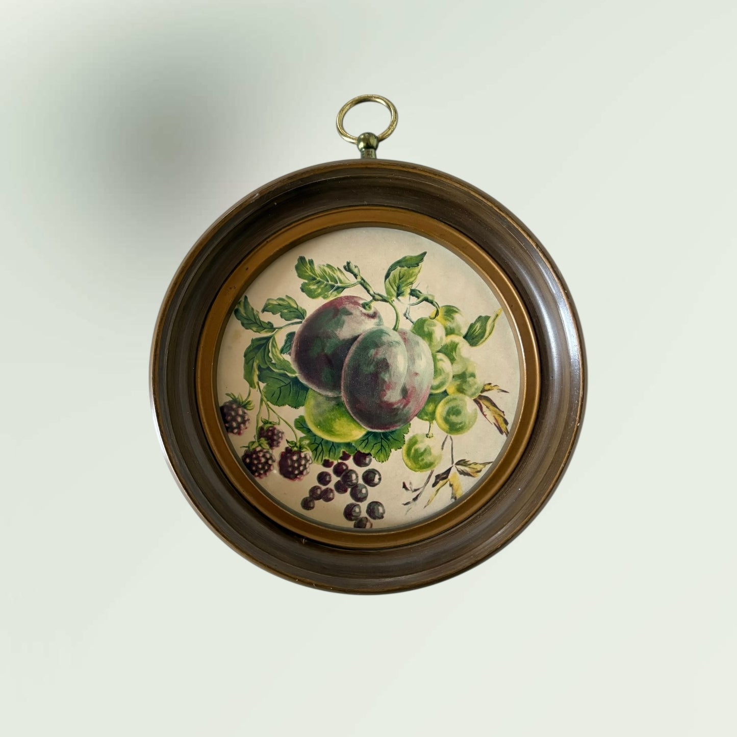 Vintage Fruit Illustration Wall Hanging Art Set of 3