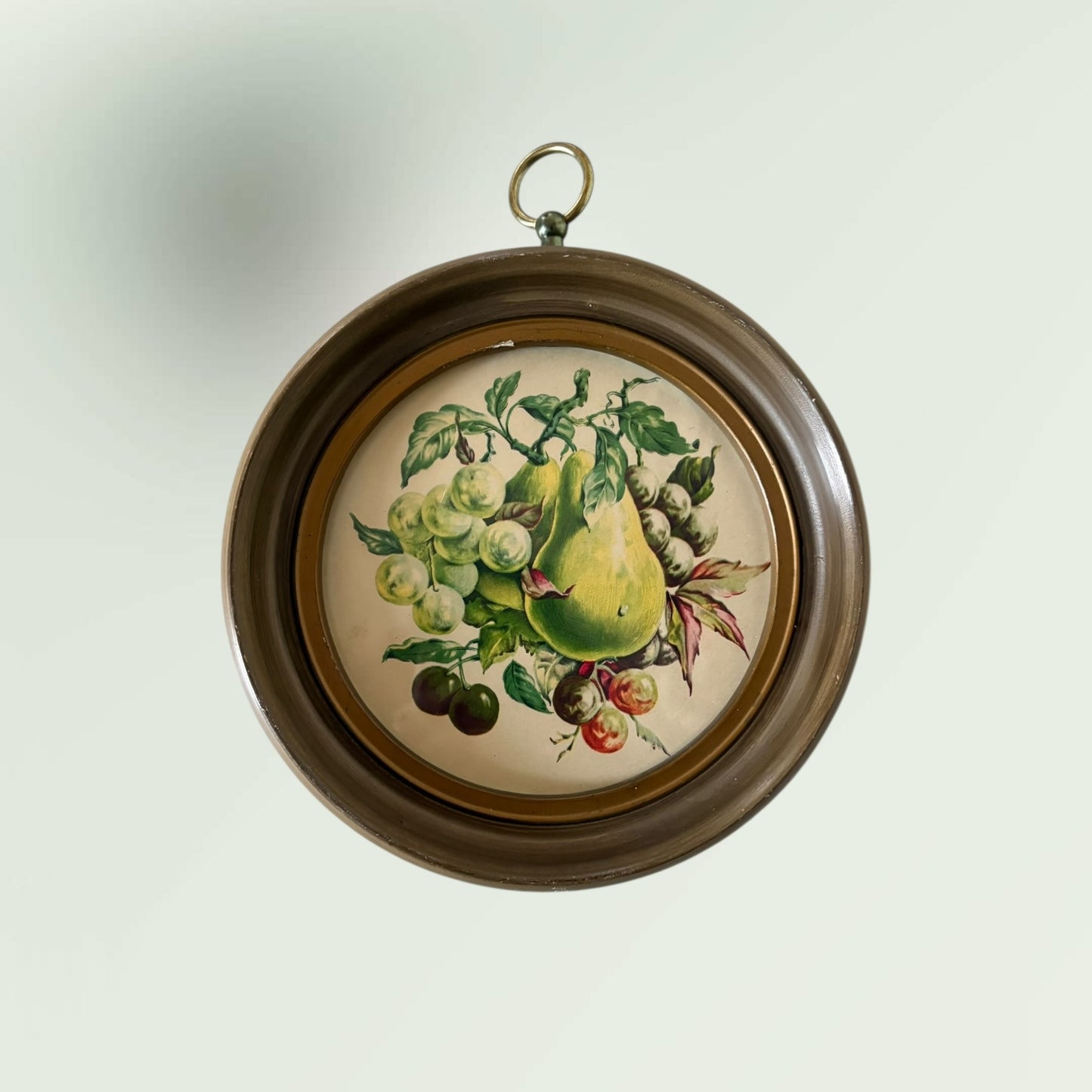 Vintage Fruit Illustration Wall Hanging Art Set of 3