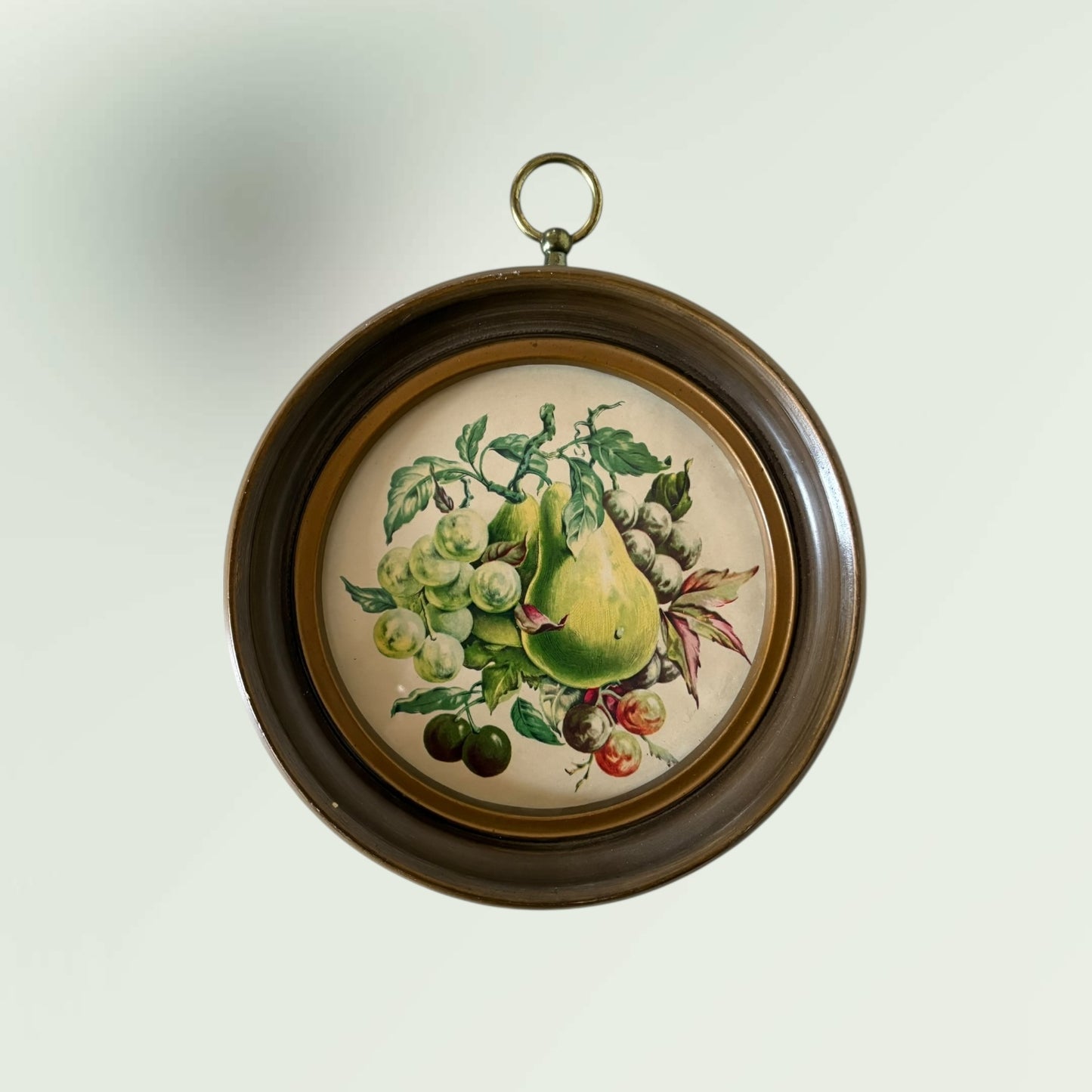 Vintage Fruit Illustration Wall Hanging Art Set of 3