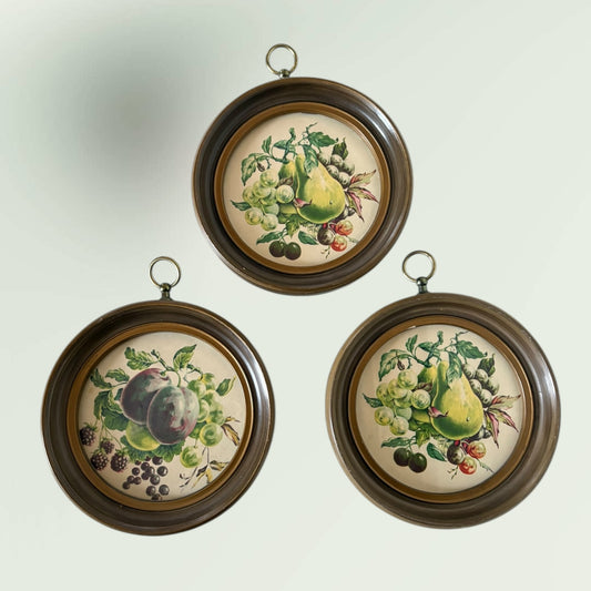 Vintage Fruit Illustration Wall Hanging Art Set of 3